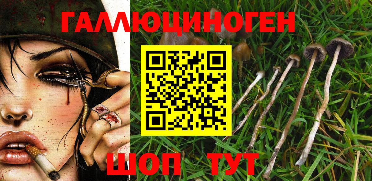Псилоцибиновые грибы мицелий  Вход с VPN  цена   Алексеевка 